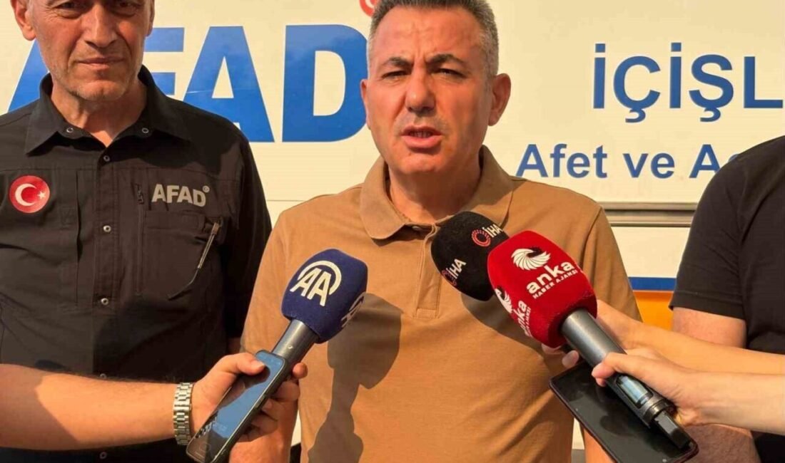 İzmir’in Menderes ilçesindeki yangınla ilgili açıklamalarda bulunan İzmir Valisi Süleyman