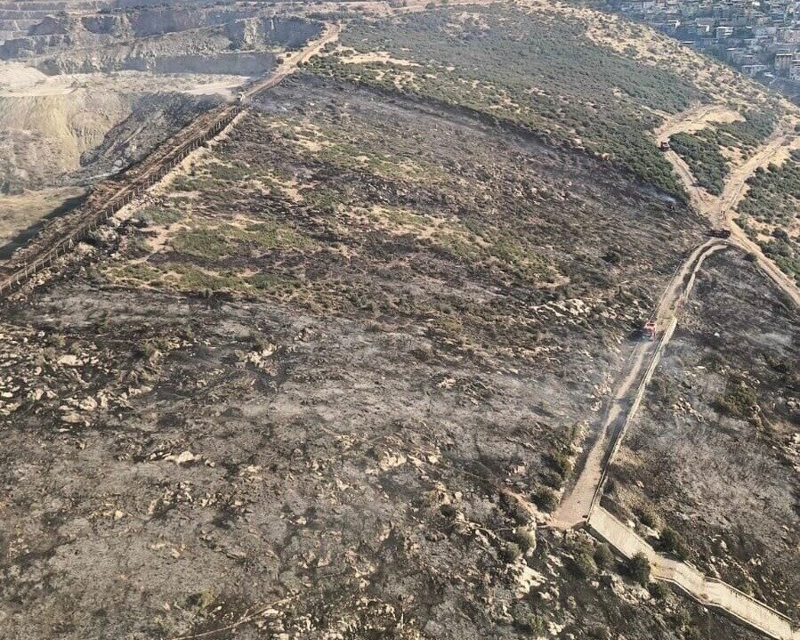 İzmir’de makilik alandaki yangın kontrol altında