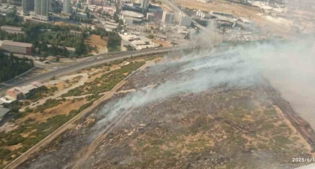 İzmir’in Bornova ilçesinde makilik ve otluk alanda çıkan yangına havadan