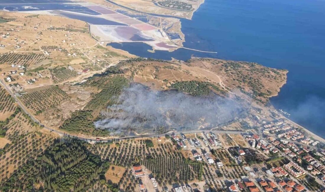 İzmir’in Dikili ilçesinde çıkan orman yangınına havadan ve karadan müdahale