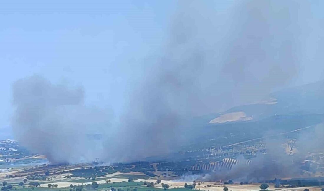 İzmir’in Kınık ilçesinde ormanlık alanda çıkan yangın, havadan ve karadan