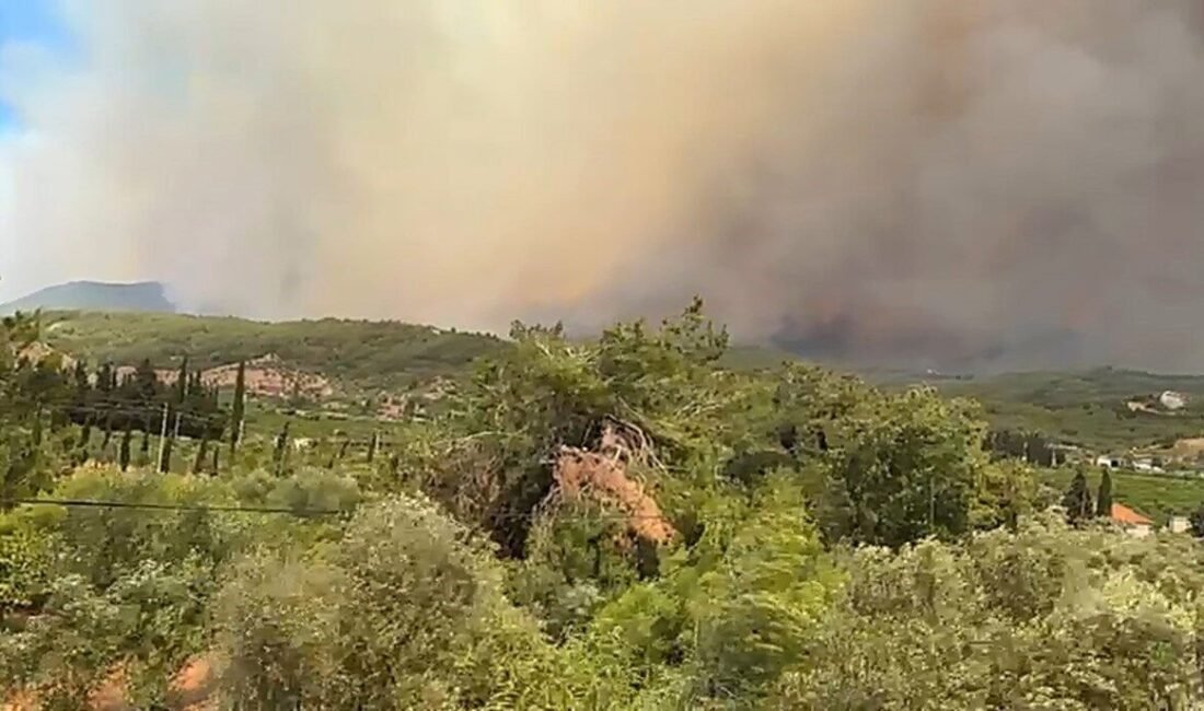 İzmir’in Menderes ilçesinde ormanlık alanda çıkan yangına, yapılan takviyeler sonrası