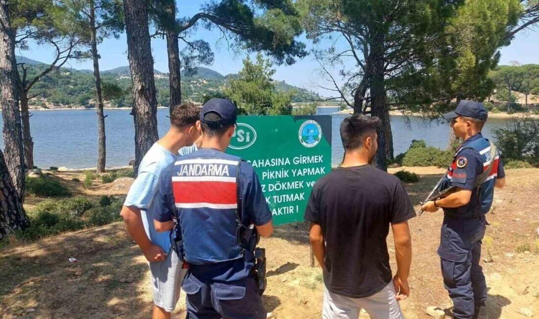 Aydın’ın Çine ilçesinde, yaz mevsiminde artan sıcaklıklarla birlikte gölet ve