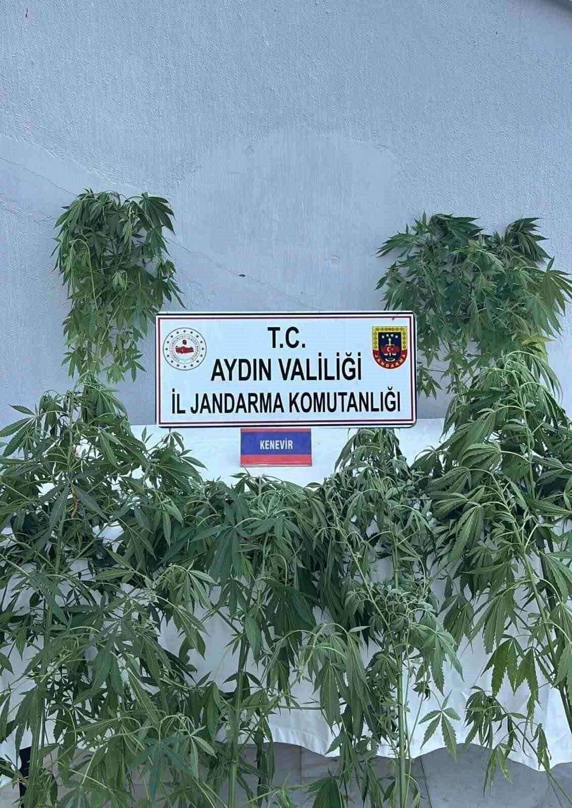 Jandarmada uyuşturucu operasyonu: 16 gözaltı Jandarmada uyuşturucu operasyonu: 16 gözaltı