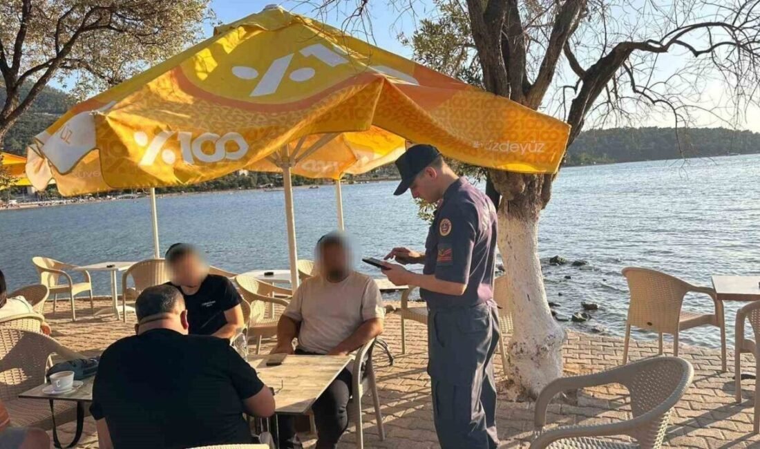 Aydın’ın Didim ilçesinde jandarma tarafından yapılan uygulamalarda iş yerleri kontrol