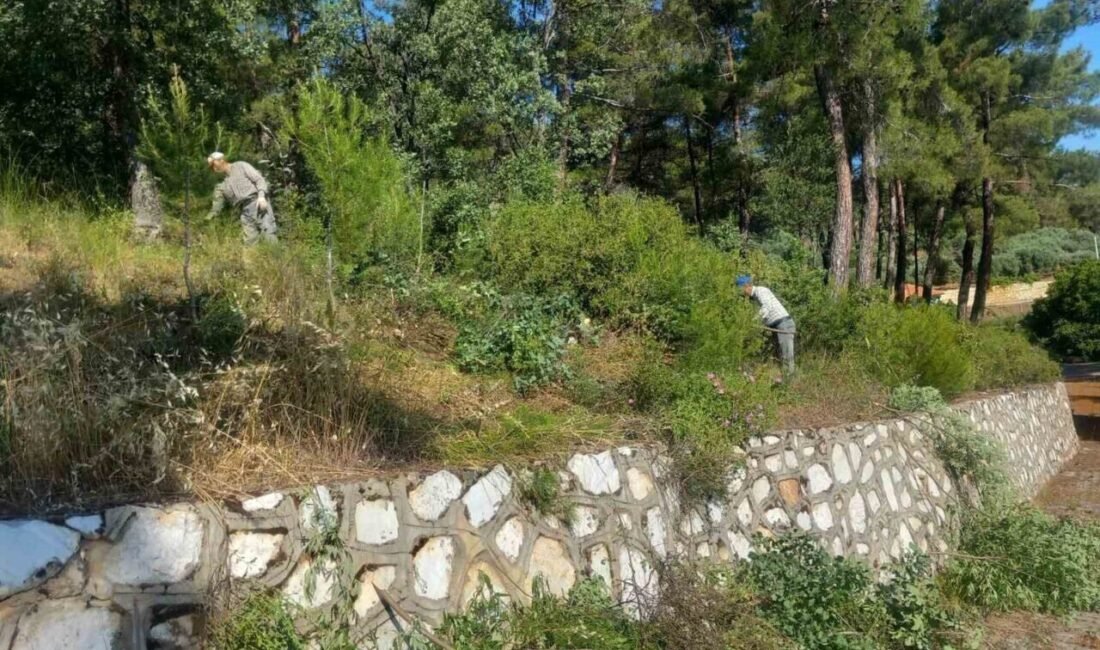 Aydın’ın Karacasu ilçesinde, Karacasu Belediyesi tarafından ilçenin önemli noktalarından biri