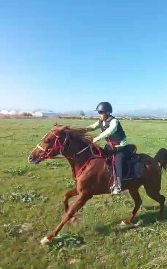 Karnesini almaya okula atıyla geldi, gören gözlerine inanamadı