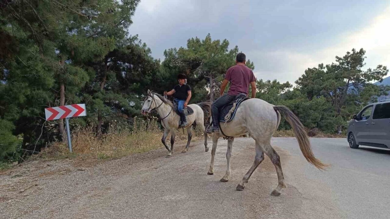 Kaymakamın atı köylünün gönlünü şaha kaldırdı