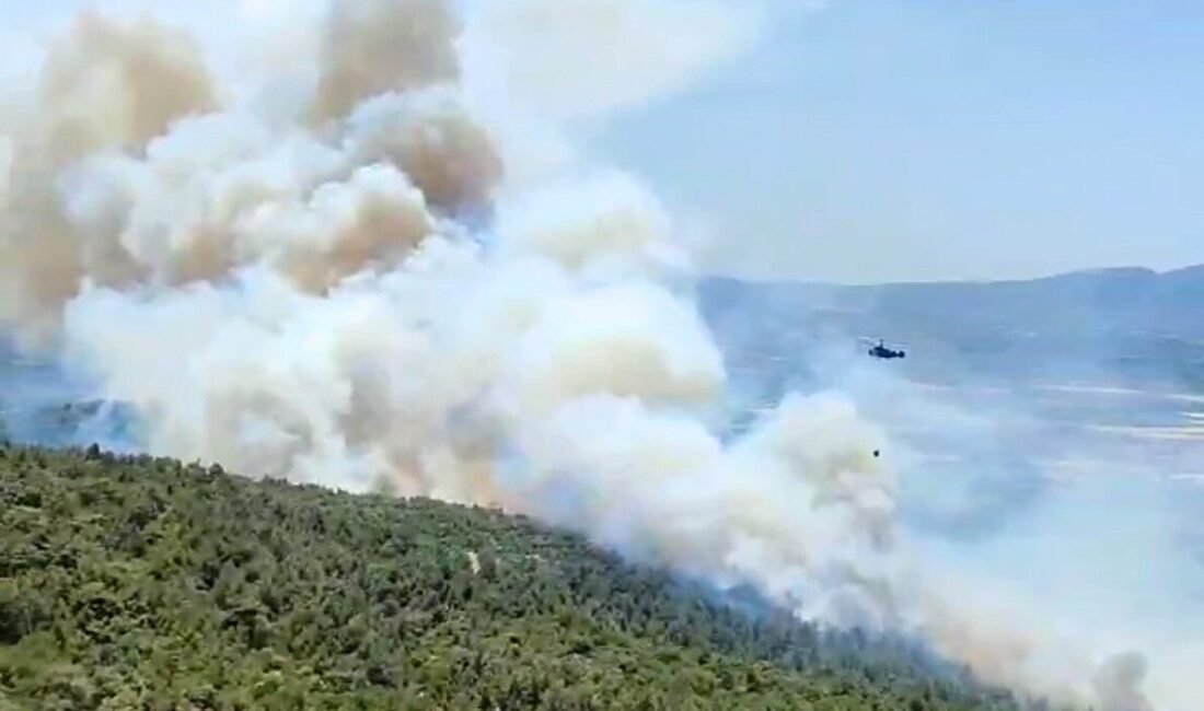 Manisa’nın Kırkağaç ilçesinde dün başlayan ve bu sabah kontrol altına