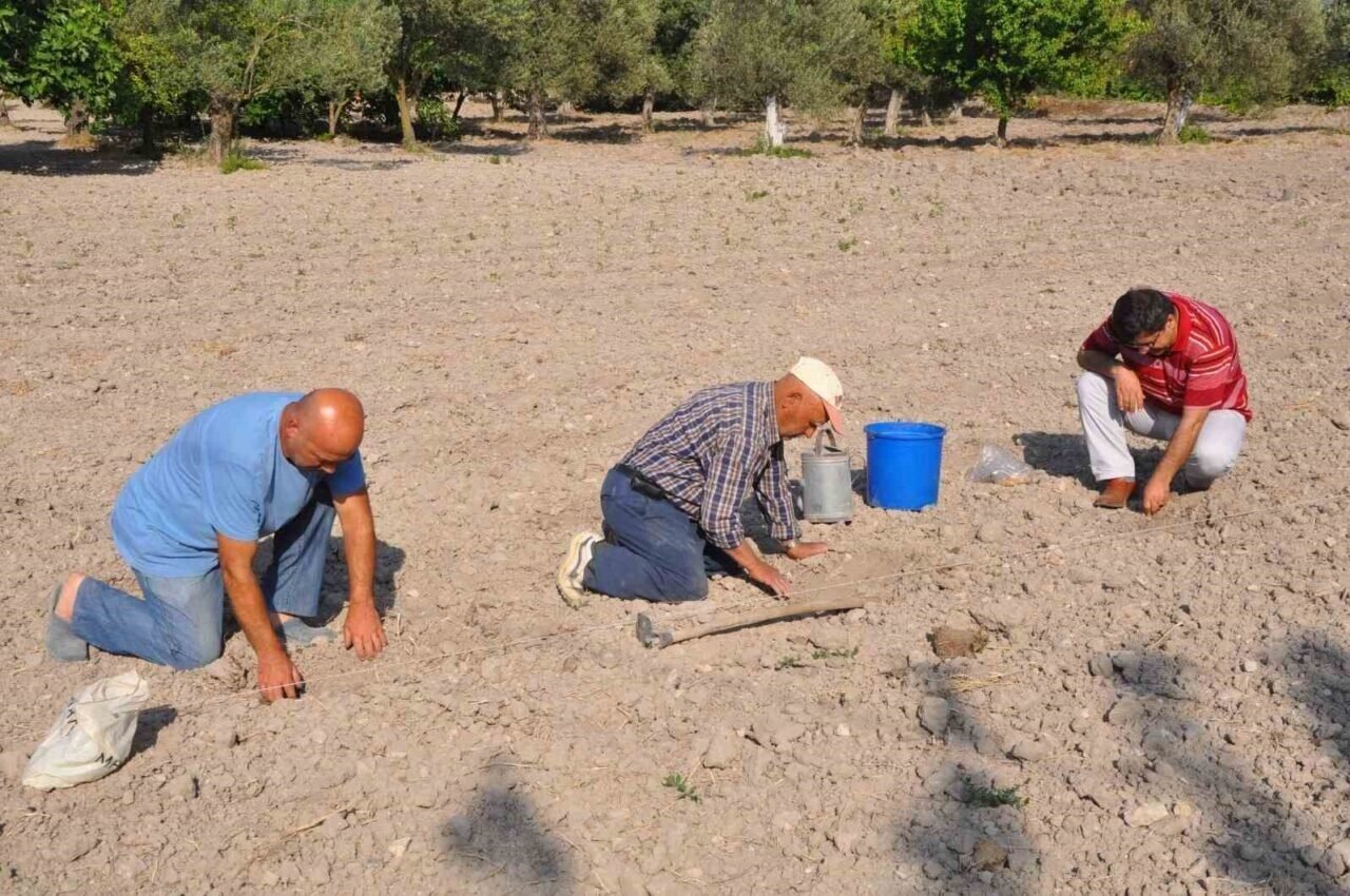 Kırkağaç Kavunu’nda tohumlar toprakla buluştu Kırkağaç Kavunu’nda tohumlar toprakla buluştu