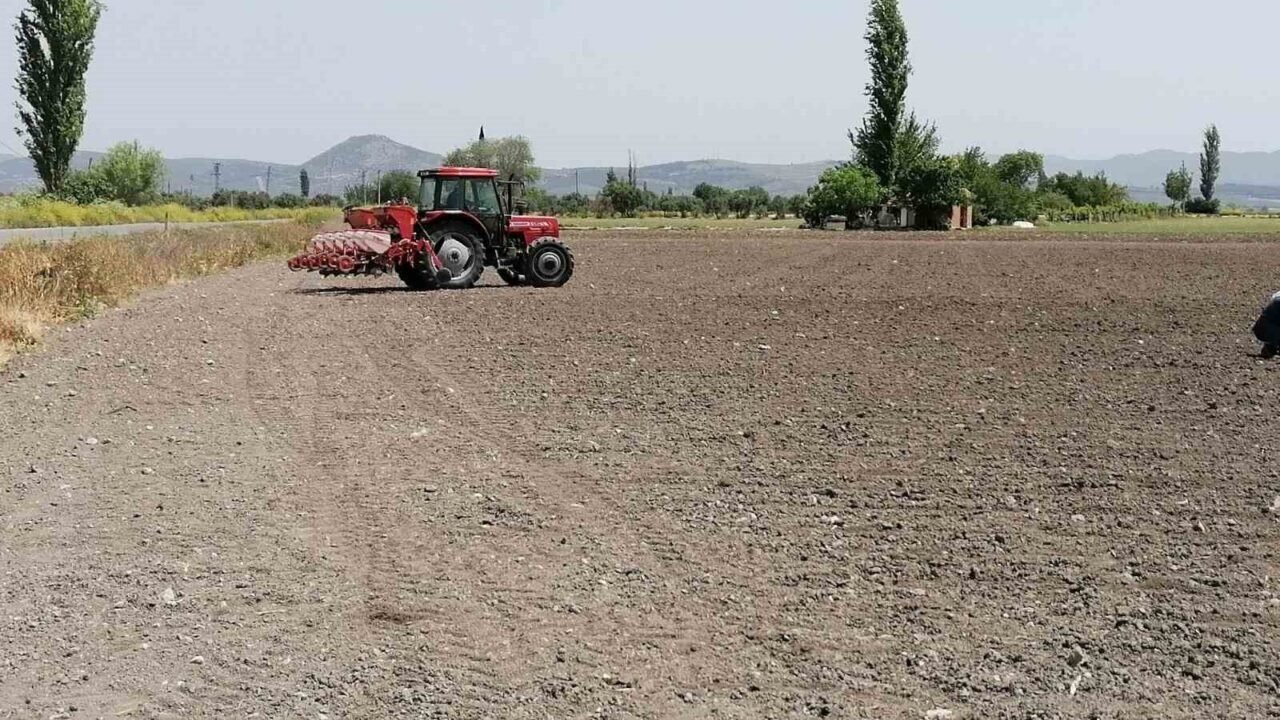 Kırkağaç Kavunu’nda tohumlar toprakla buluştu