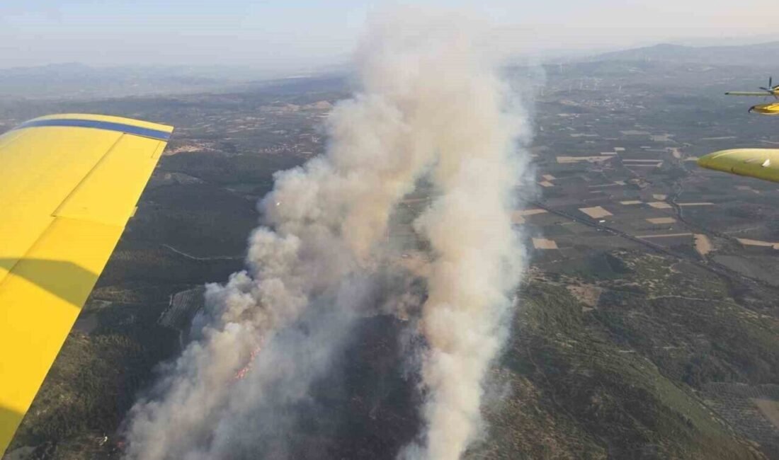 Manisa’nın Kırkağaç ilçesinde dün öğleden sonra başlayan yangın bu sabah
