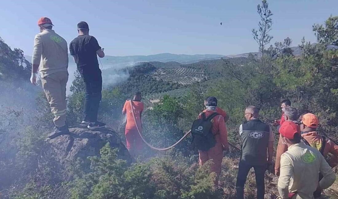 Manisa’nın Kırkağaç ilçesinde başlayan orman yangını İzmir Orman Bölge Müdürlüğü