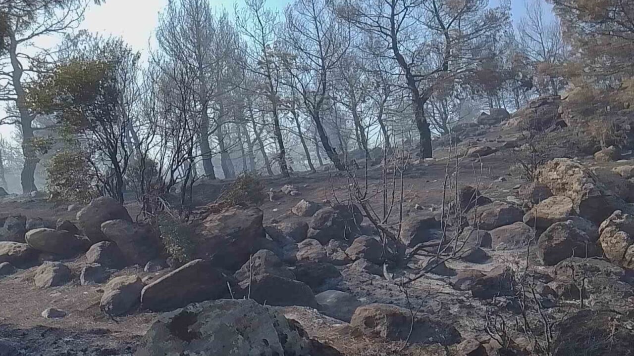Kırkağaç’taki orman yangınına müdahale sürüyor: Bir mahalle tedbir amaçlı tahliye edildi