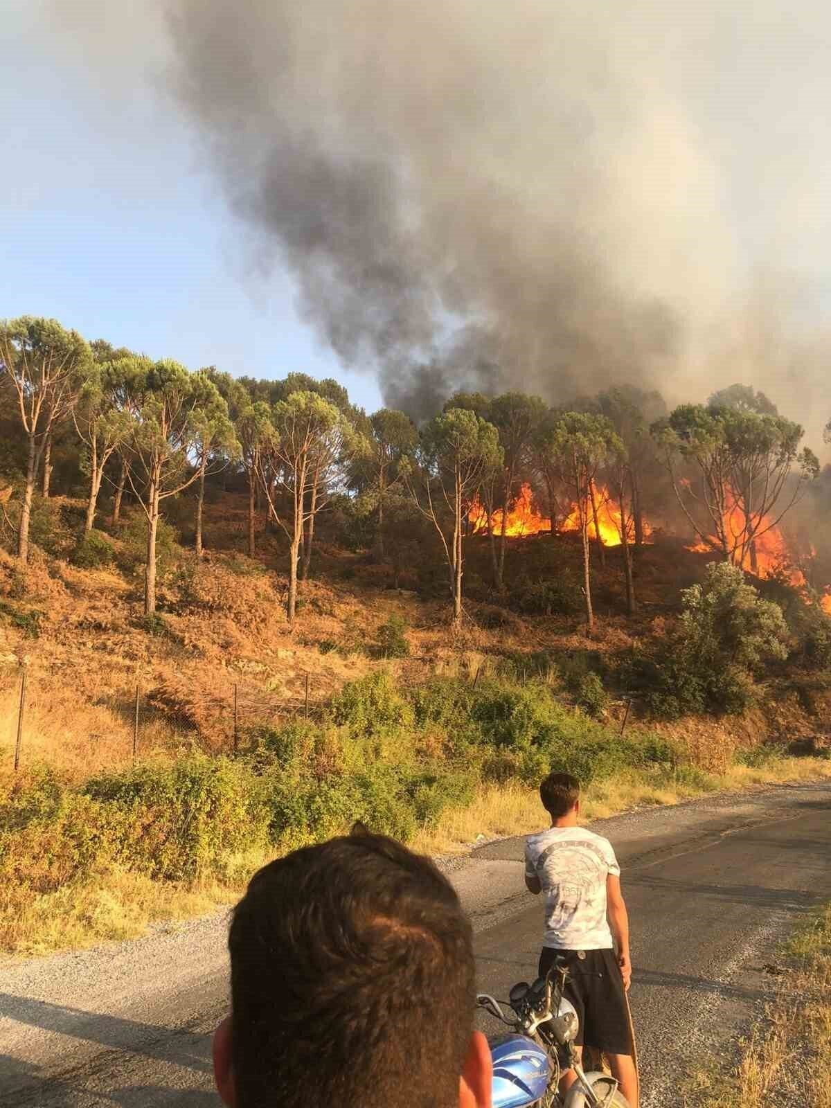 Koçarlı’da orman yangını: Çok sayıda ekip sevk edildi