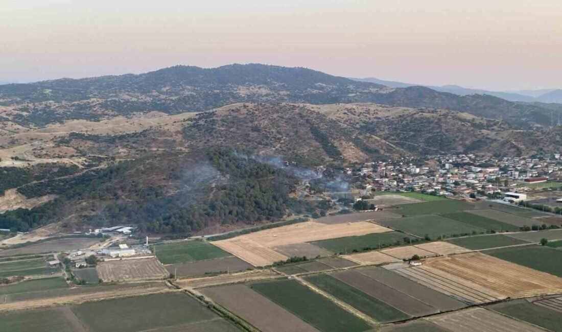 Aydın’ın Koçarlı ilçesinde fıstık çamlarının bulunduğu ormanlık alanda çıkan yangın,