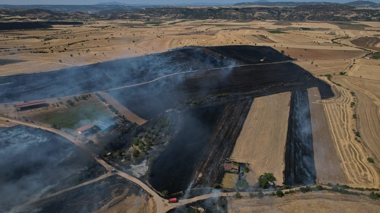 Kula’da ekili arazide büyük yangın