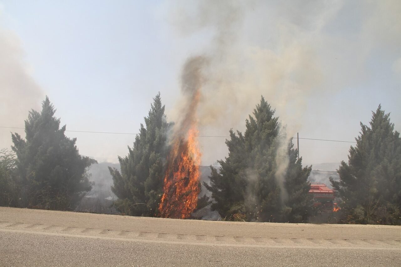 Kula’da ekili arazide büyük yangın