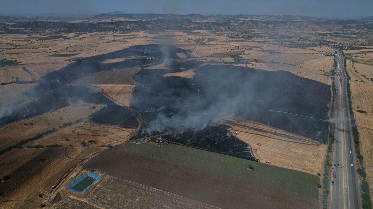 Kula’da ekili arazide büyük yangın