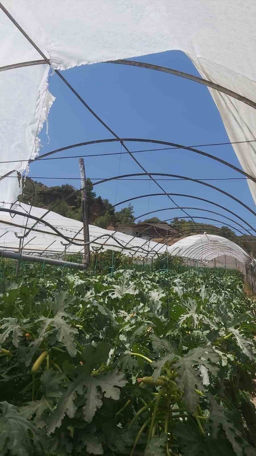 Kumluca’da aniden başlayan hortum seralara zarar verdi