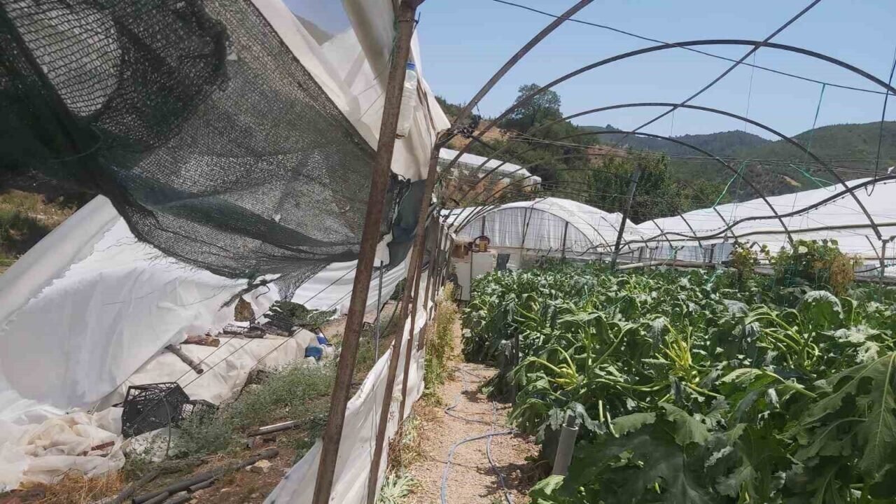 Kumluca’da aniden başlayan hortum seralara zarar verdi