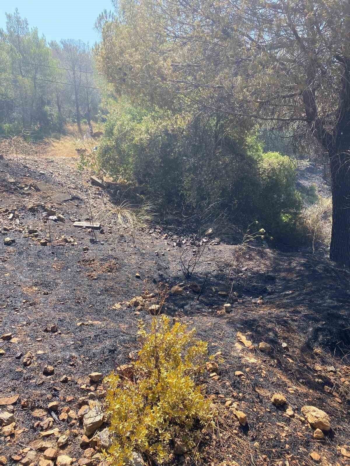 Kuşadası’nda orman yangını