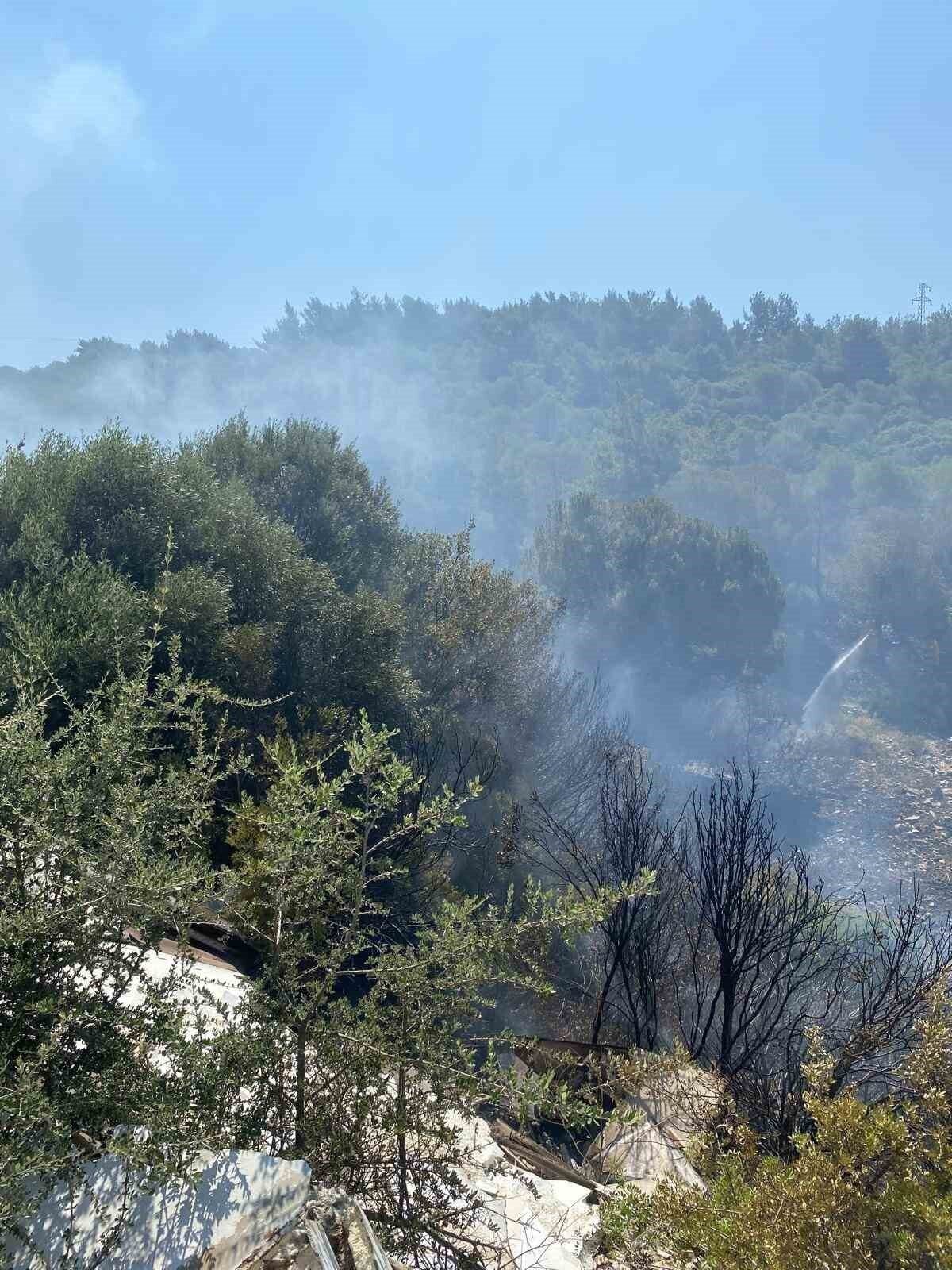 Kuşadası’nda orman yangını