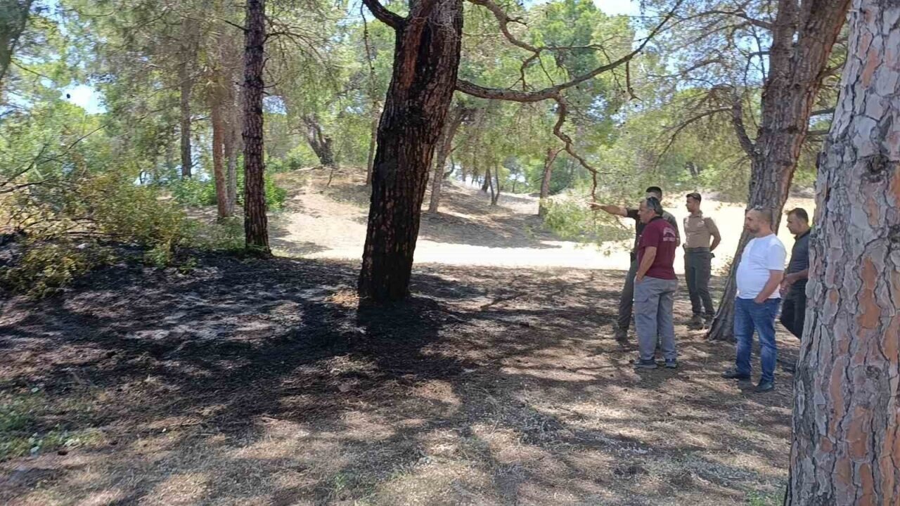 Manavgat’ta çalılık yangını büyümeden söndürüldü