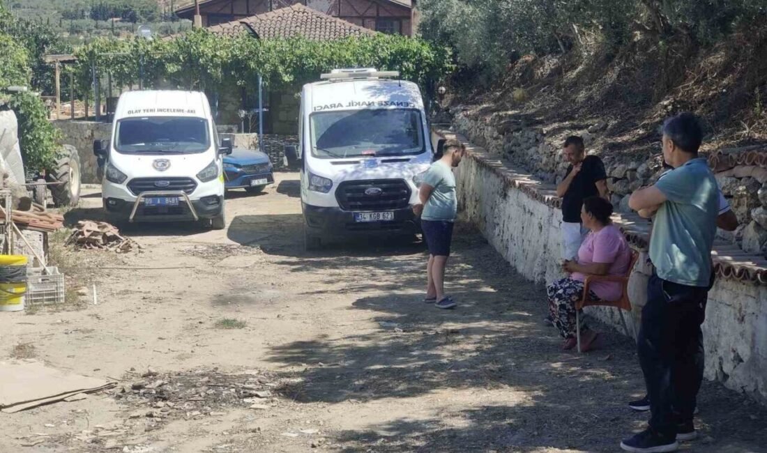 Aydın’ın Kuşadası ilçesinde 34 yaşındaki Sabri Nazlı, mandalina bahçesinde av