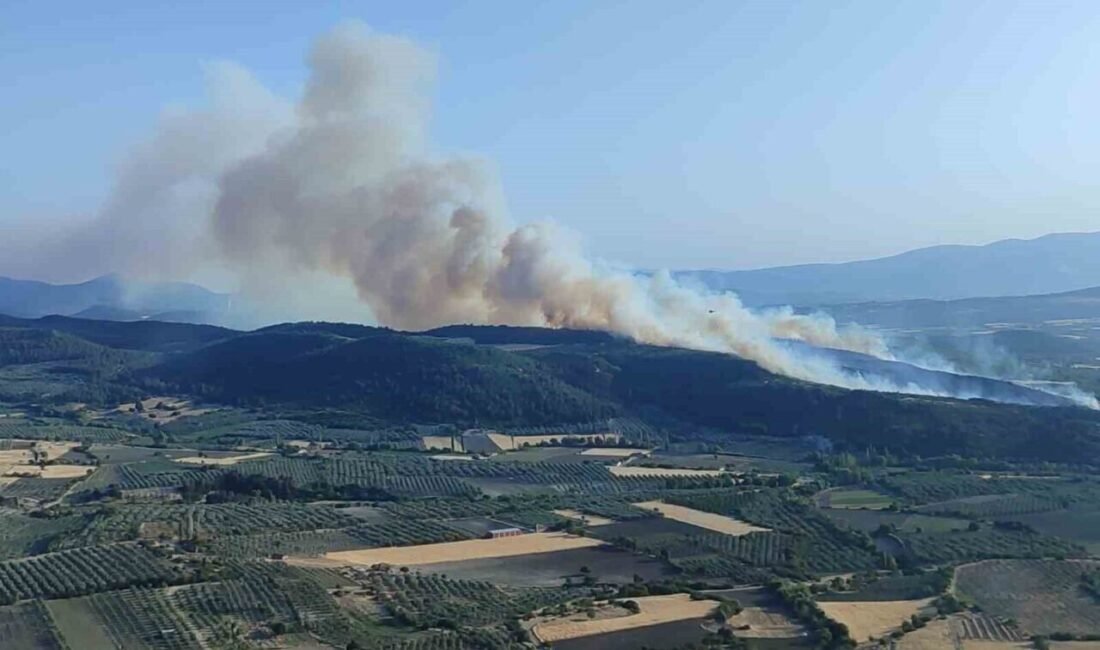 Manisa’nın Kırkağaç ilçesinde ormanlık alanda yangın çıktı. Ekiplerin havadan ve