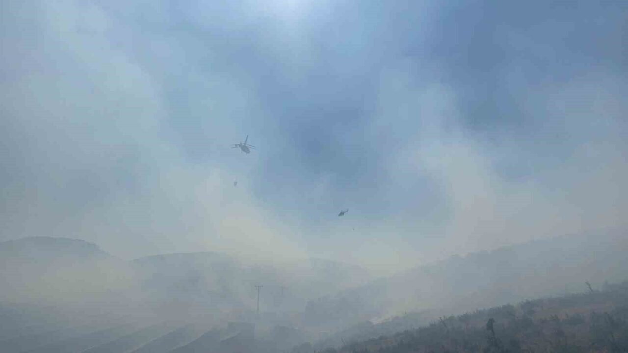 Manisa’da ormanlık alanda yangın: Havadan ve karadan müdahale başladı Manisa’da ormanlık alanda yangın: Havadan ve karadan müdahale başladı