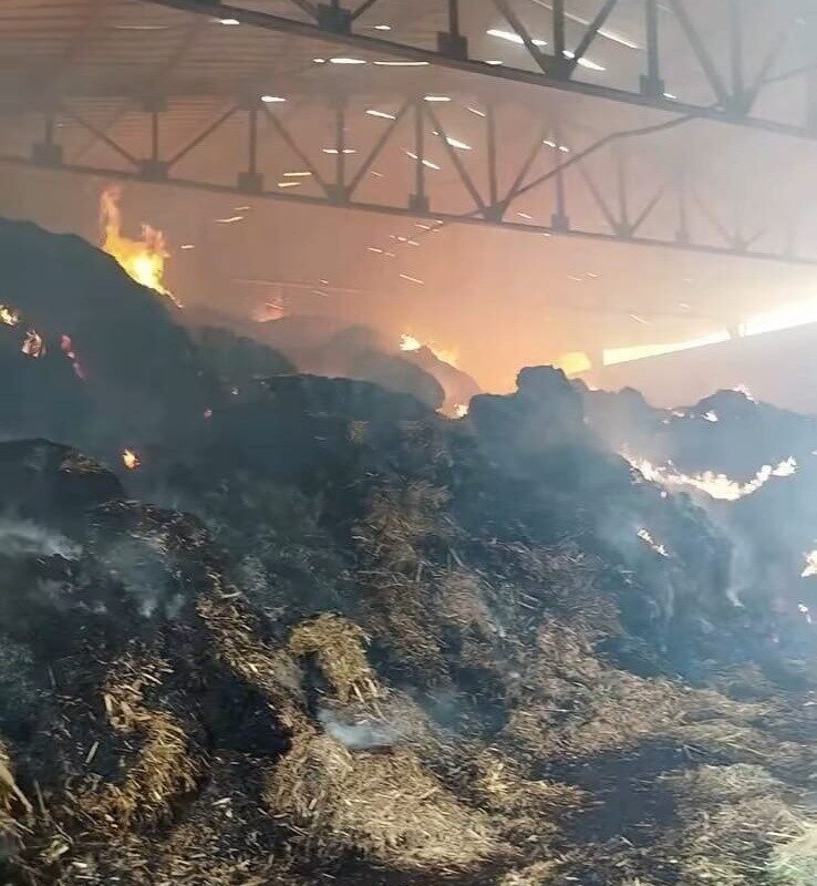Manisa’da samanlık yangını: Binlerce balya saman kül oldu