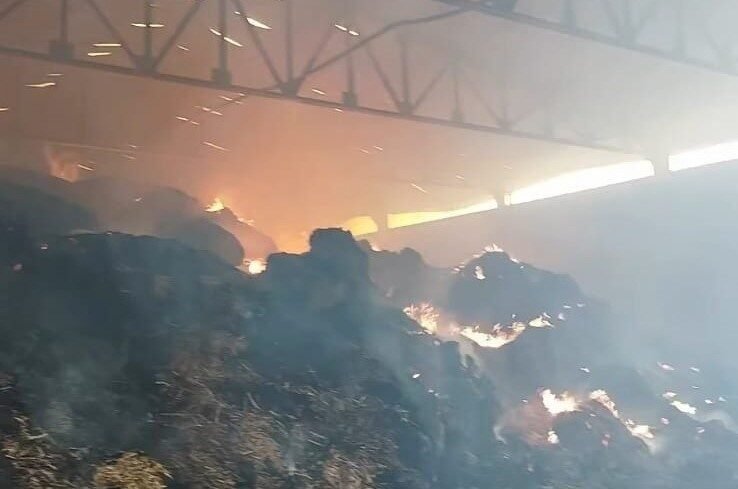 Manisa’nın Salihli ilçesinde bir çiftliğe ait samanlıkta çıkan yangında, binlerce
