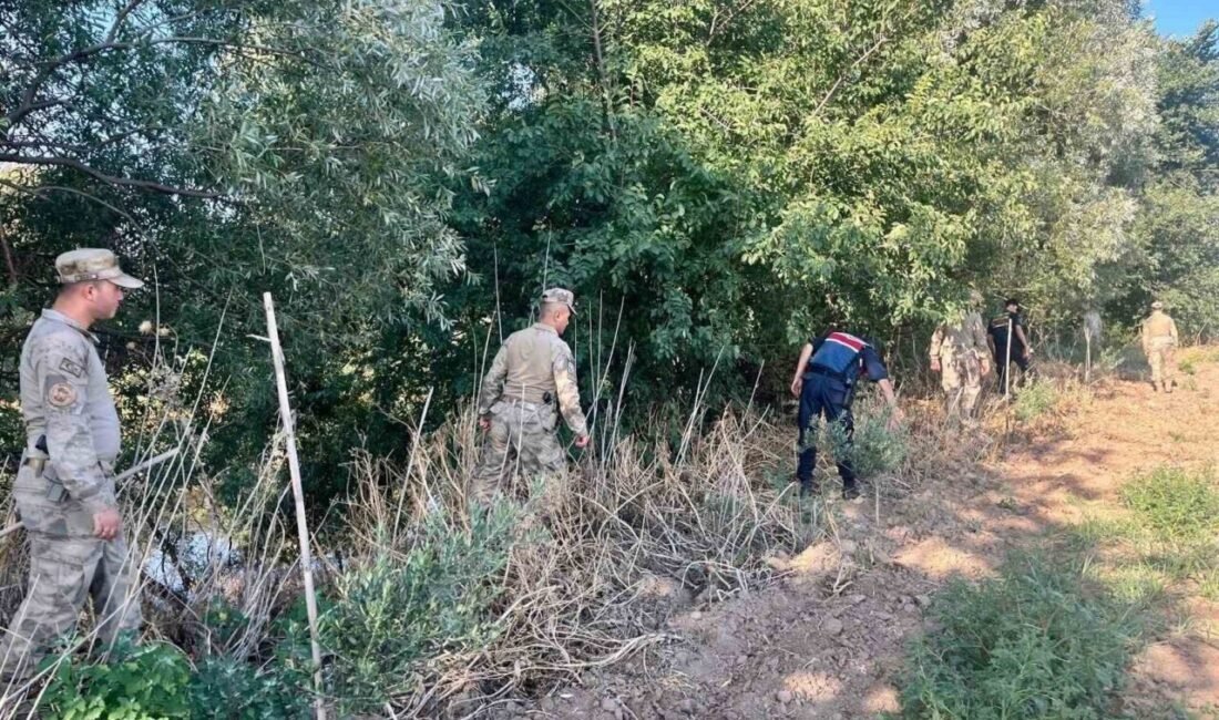 Manisa İl Jandarma Komutanlığı Narkotik Suçlarla Mücadele Şube Müdürlüğü, yasadışı