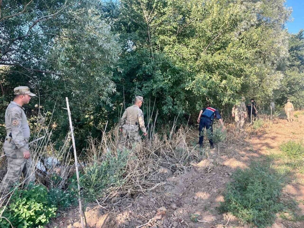 Manisa’da yasadışı kenevir ekim alanlarına sıkı denetim Manisa’da yasadışı kenevir ekim alanlarına sıkı denetim