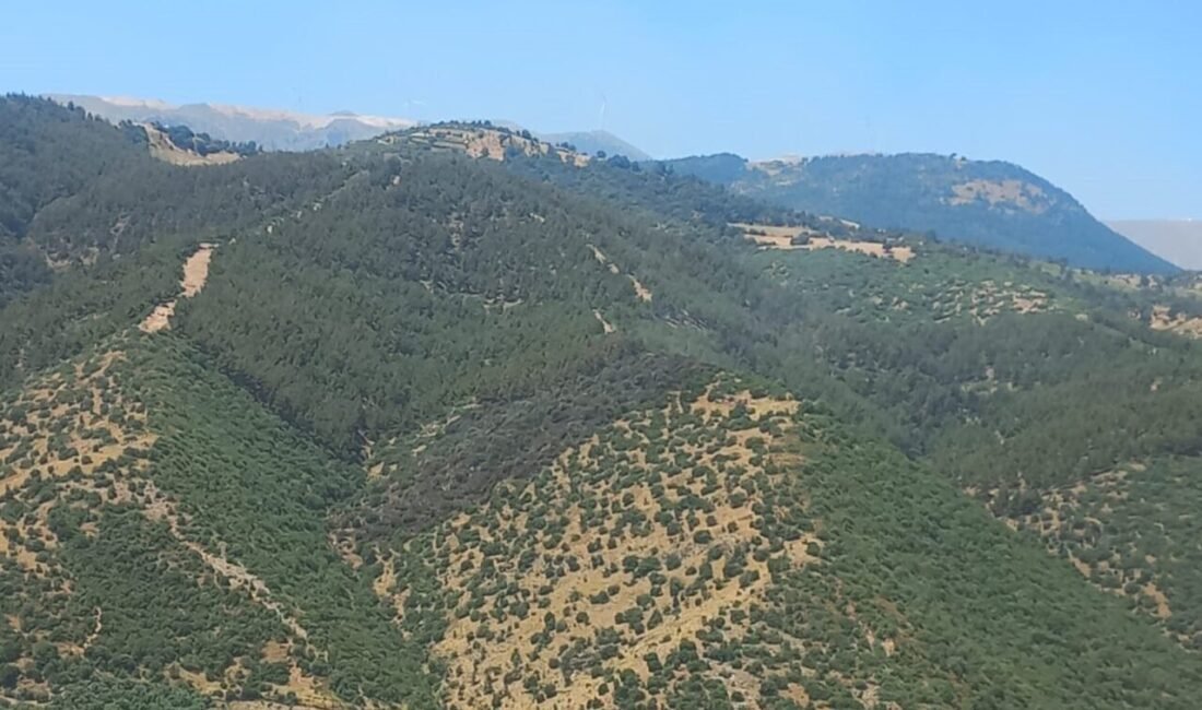 Manisa’daki orman yangını 2 saatte söndürüldü Manisa’nın Alaşehir ilçesine bağlı Badınca Mahallesi’nde bugün sabah saatlerinde çıkan