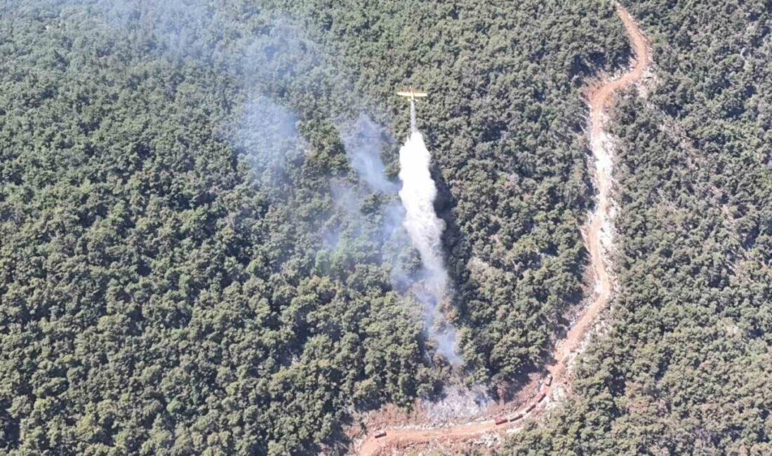 Manisa’da ormanlık alanda çıkan yangın ekiplerin yaklaşık 3 buçuk saatlik