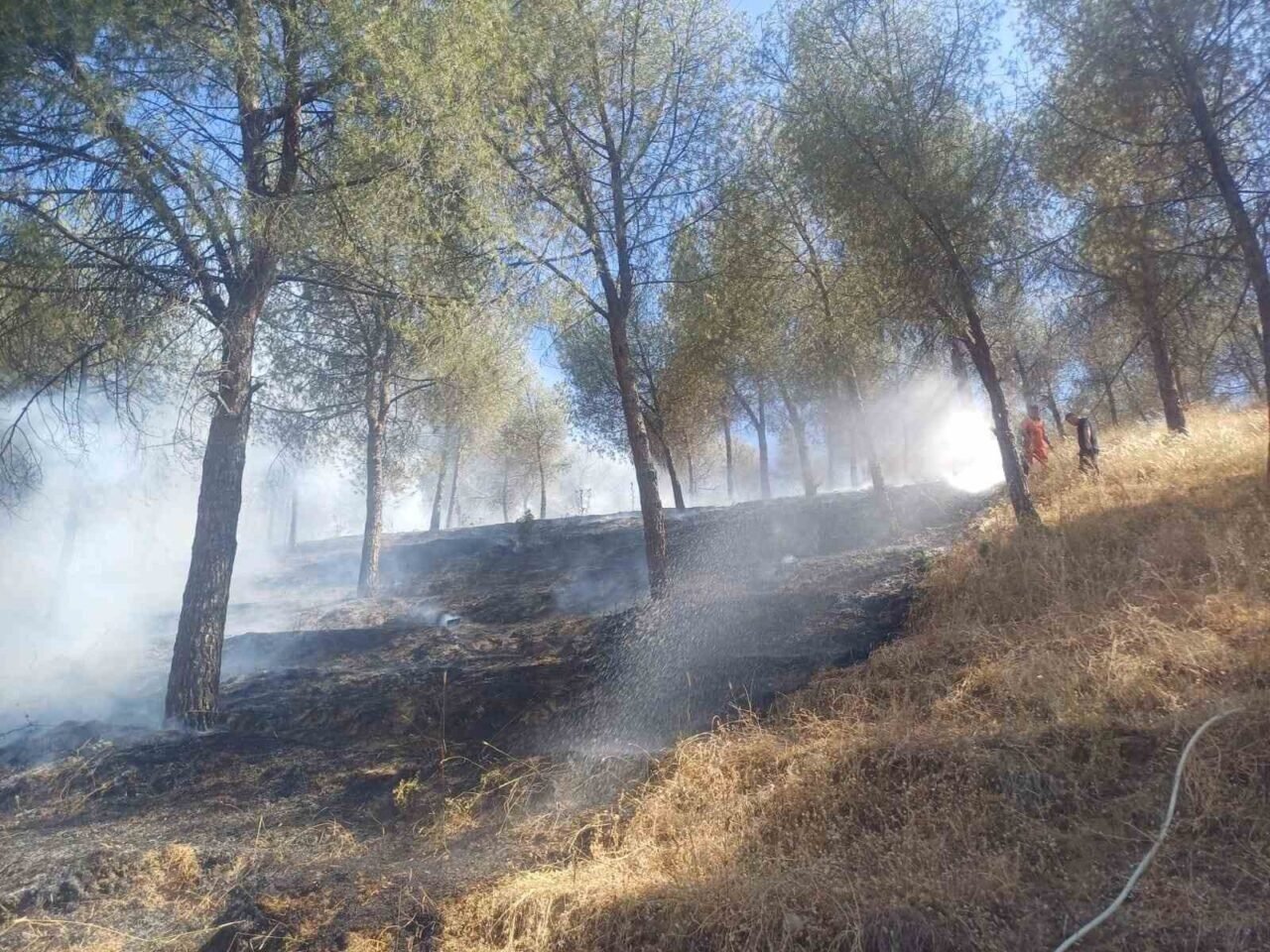 Manisa’daki yangın hızlı müdahale ile söndürüldü