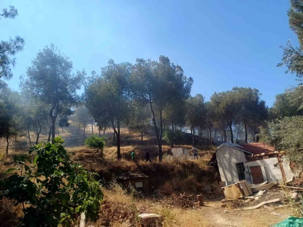 Manisa’daki yangın hızlı müdahale ile söndürüldü