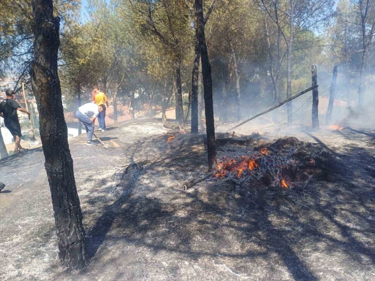 Manisa’daki yangın hızlı müdahale ile söndürüldü