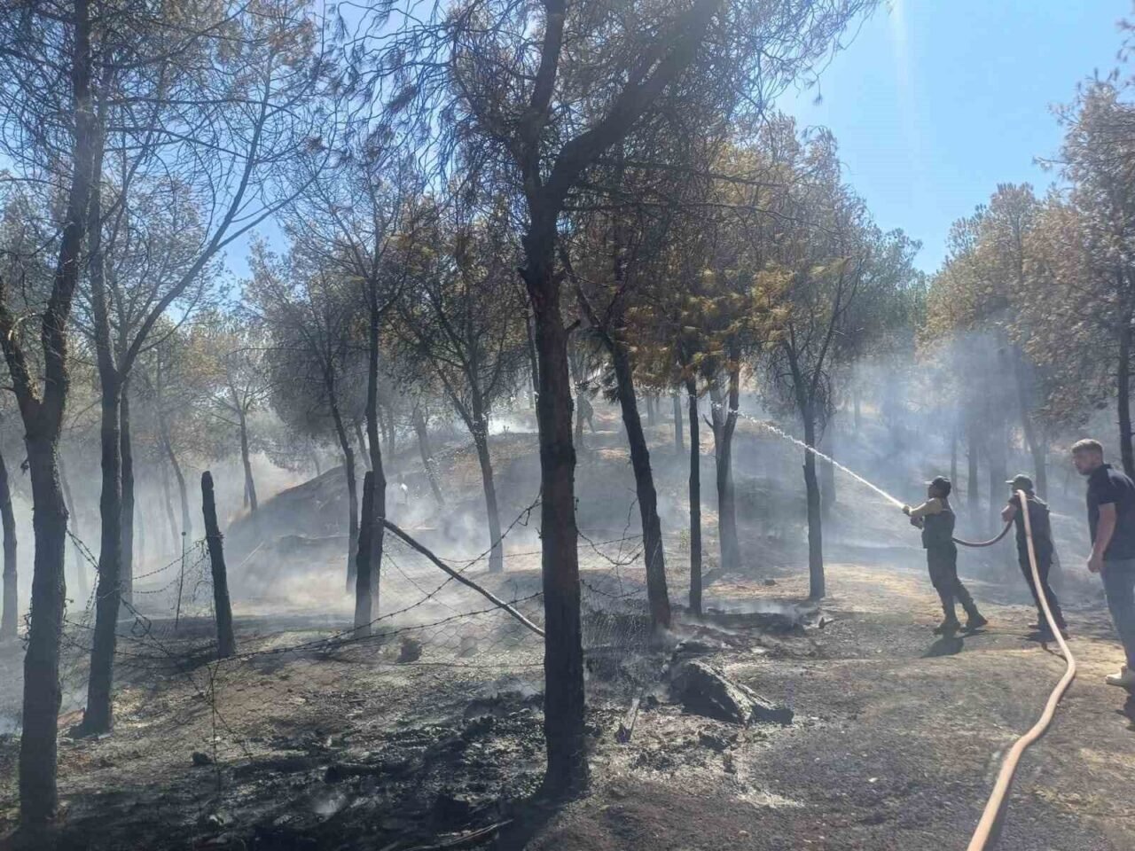 Manisa’daki yangın hızlı müdahale ile söndürüldü