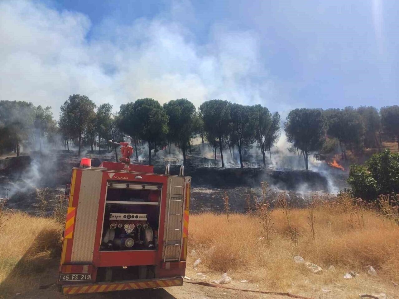 Manisa’daki yangın hızlı müdahale ile söndürüldü