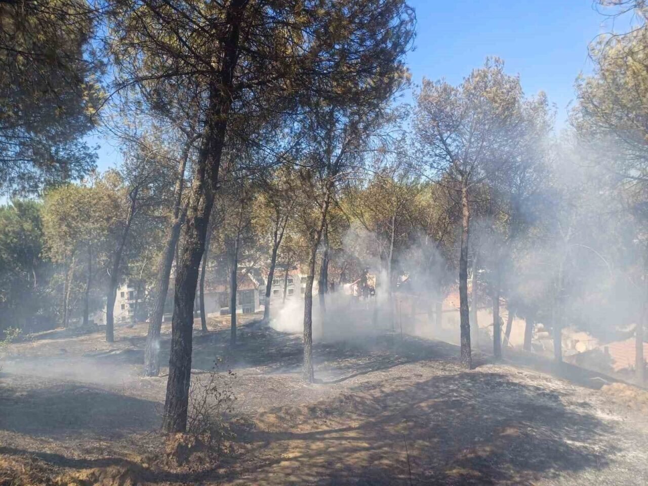 Manisa’daki yangın hızlı müdahale ile söndürüldü