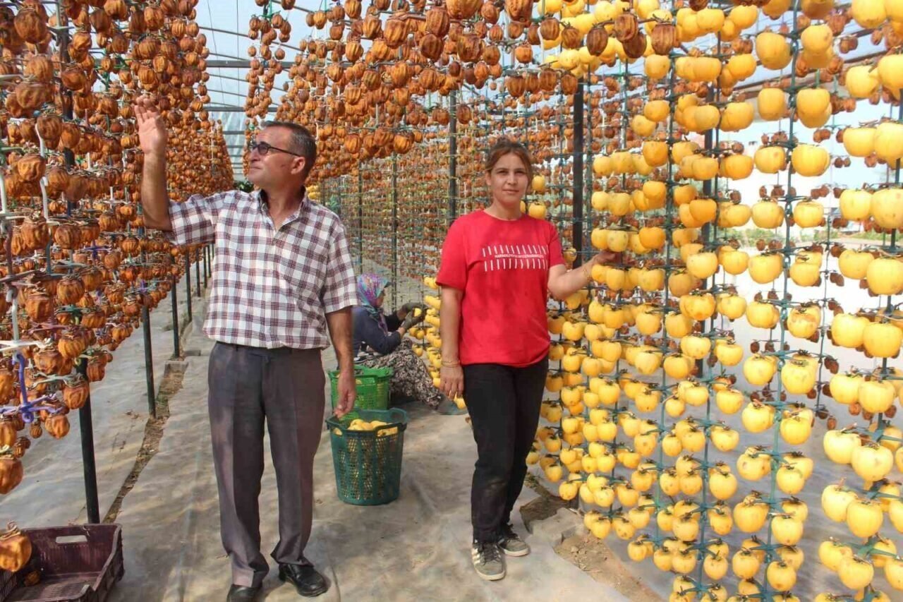 Manisa’nın ilk 5 aylık tarım ihracatı 400 milyon dolara yaklaştı