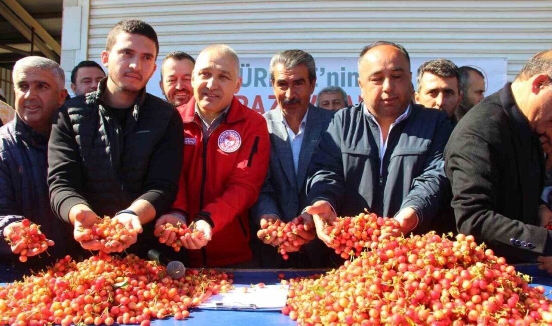 Manisa’da mayıs ayında 72,6 milyon dolarlık tarım ihracatı gerçekleştirilirken, yılın