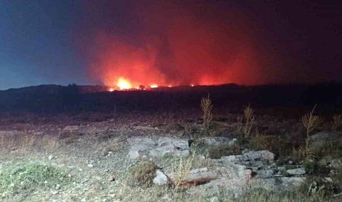 İzmir’in Menemen ilçesinde makilik alanda yangın çıktı. Ekiplerin yangına müdahalesi
