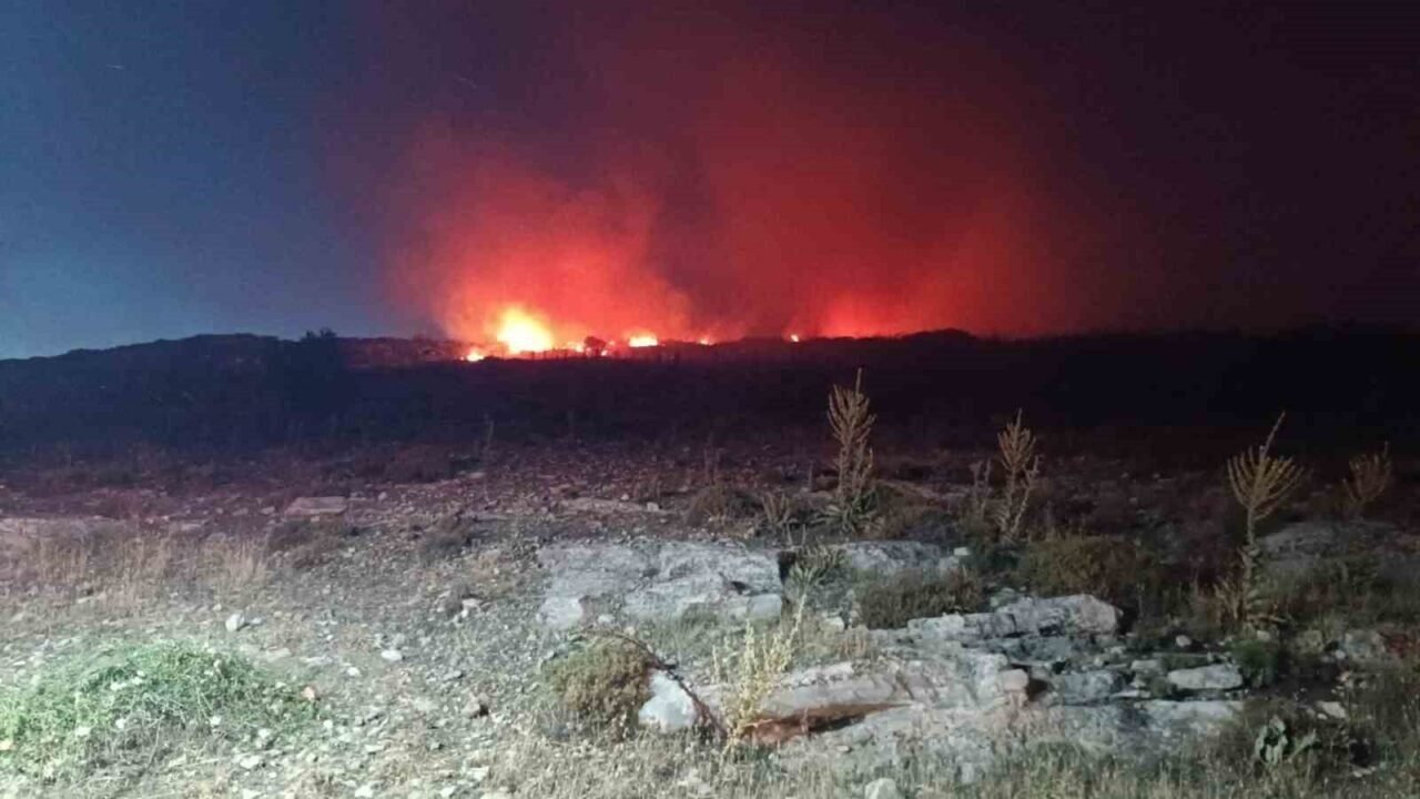 Menemen’de makilik alanda yangın Menemen’de makilik alanda yangın