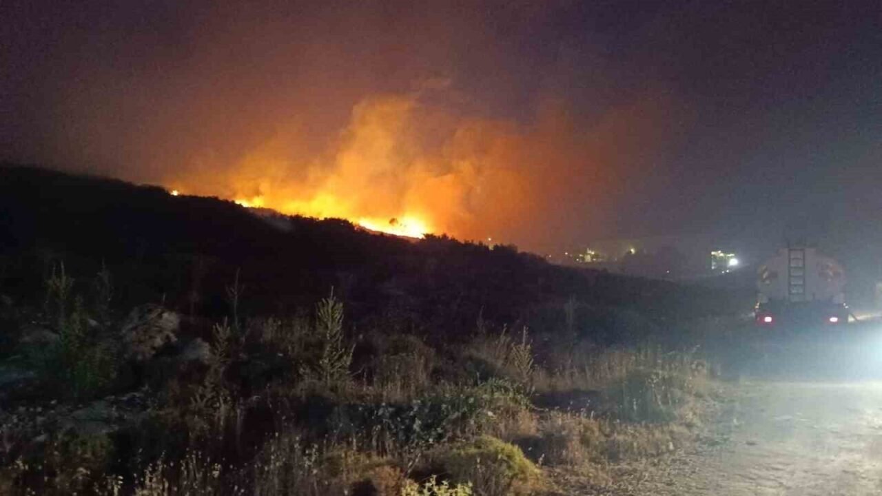 Menemen’de makilik alanda yangın