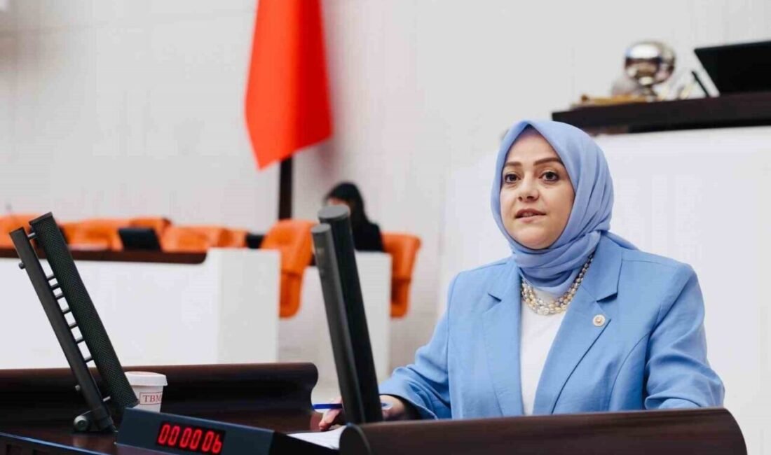 Gelecek Partisi Denizli Milletvekili Sema Silkin Ün, Meclis kürsüsünden çifte