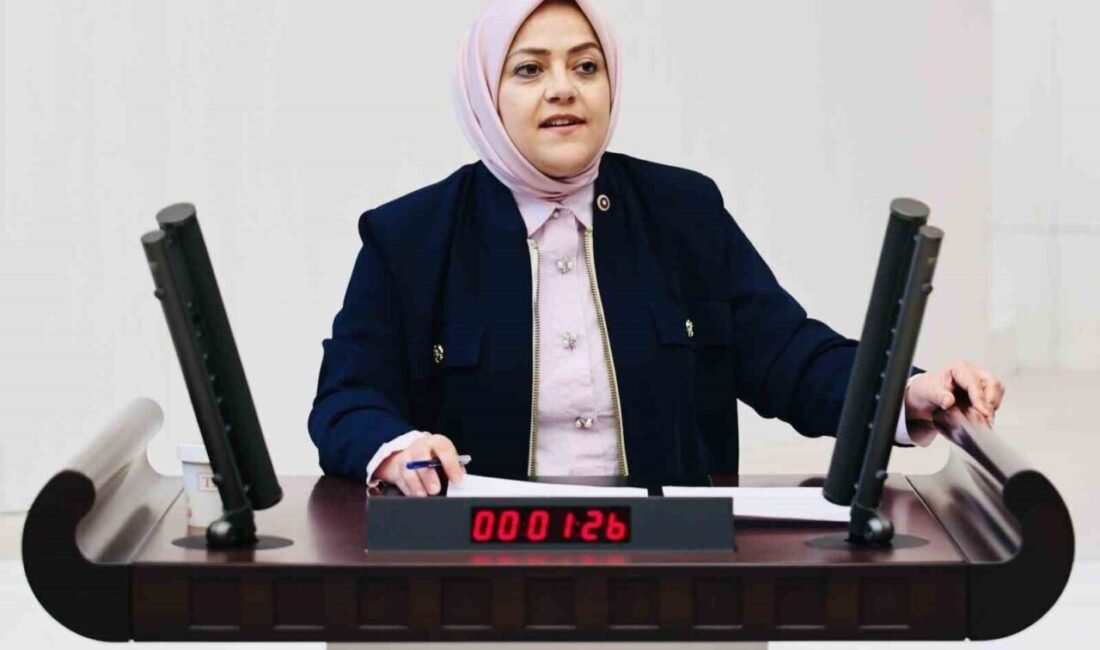 Gelecek Partisi Denizli Milletvekili Sema Silkin Ün, İsrail-İran geriliminden yola